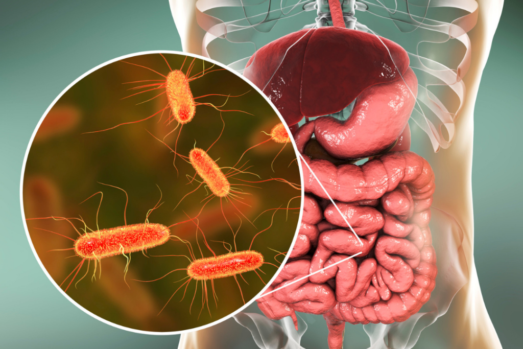 teste respiratório, disbiose, sibo, imo